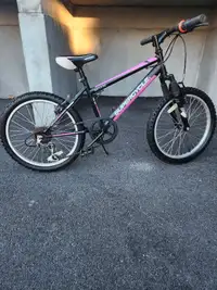Vélo d'enfants roue de 20 pouces 