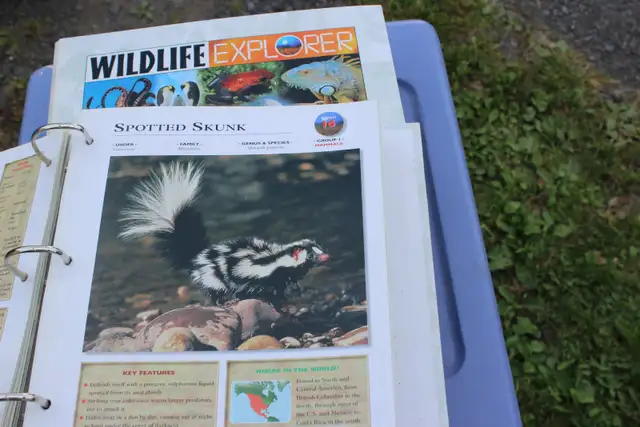 Encyclo de l'Explorateur de la Faune – Anglais/WIdlife Explorer ...