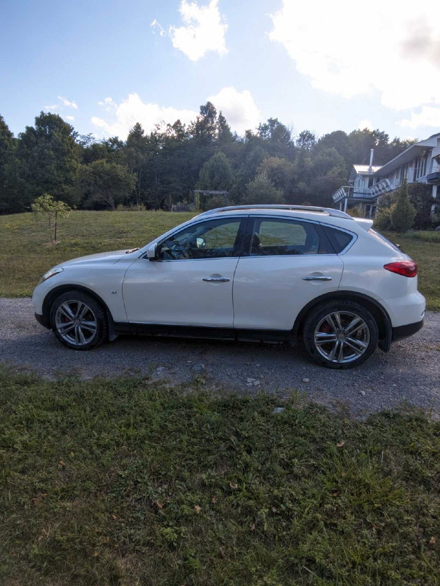 INFINITI QX50 AWD in Cars & Trucks in Kingston