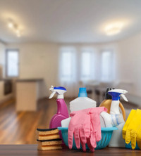 House maid/ seasonal deep clean 