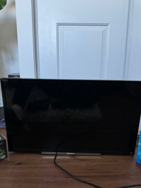 30 inch Sony TV with mounts and RBG lights 