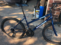 Supercycle adult Mountain bike-Cooksville