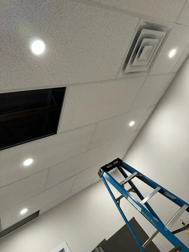 Licensed Electrician 566535494587525124