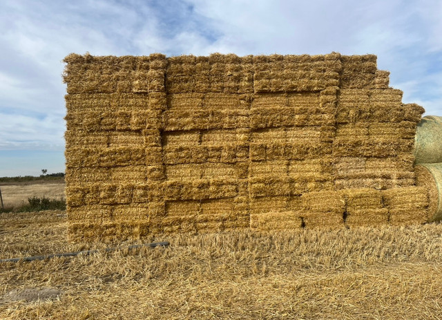 Small square straw in Other in Calgary - Image 4