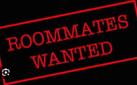 Roommates wanted 