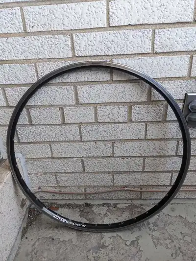 Alexrims DH19 26" rim with spokes, View more