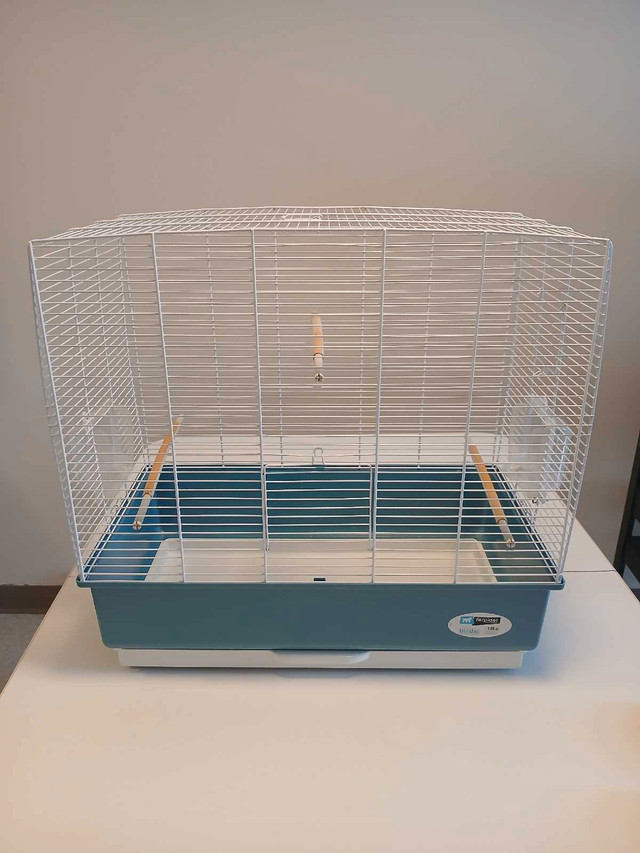 Cage birds  dans Oiseaux à adopter  à Ville de Montréal - Image 2