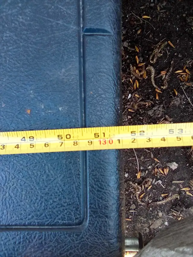 Utility box for smaller turck in Cargo & Utility Trailers in Chatham-Kent - Image 2