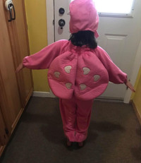 Costume Halloween de coccinelle rose . Déguisement pour enfants