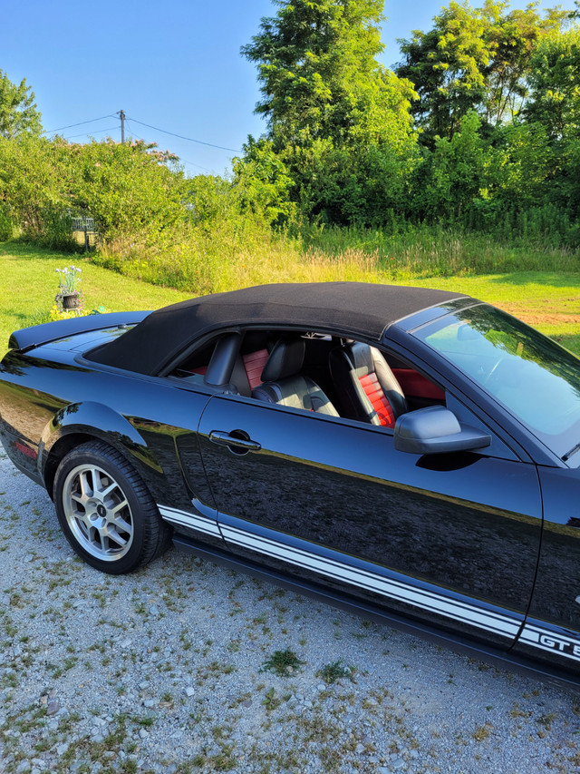 2007 Mustang Shelby GT500 Convertible in Cars & Trucks in Oshawa / Durham Region - Image 4