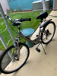 Landrider Auto Shift Bicycle