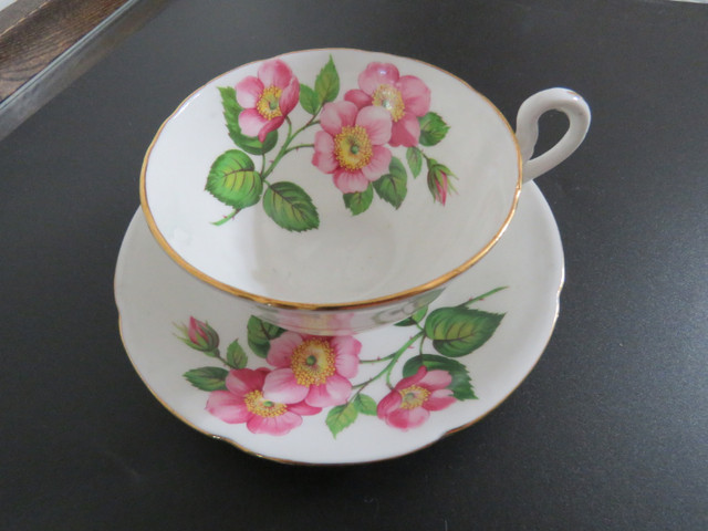 Vintage Royal Grafton Pink Wild Rose Teacup in Arts & Collectibles in Prince Albert