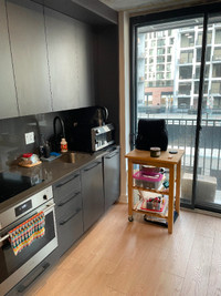 Fully-furnished apartment in Griffintown!
