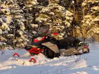 2022 Skidoo Backcountry XRS 146 with Removable Passenger Seat 