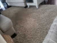 Beautiful creme coloured shag carpet 98 x 122 inches