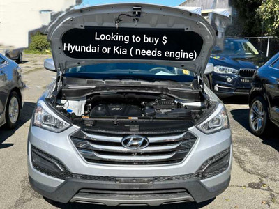 Buying Kia and Hyundai needs engine 