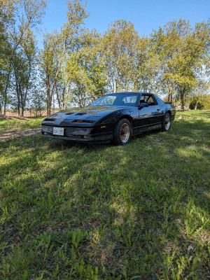 1989 Pontiac Trans Am