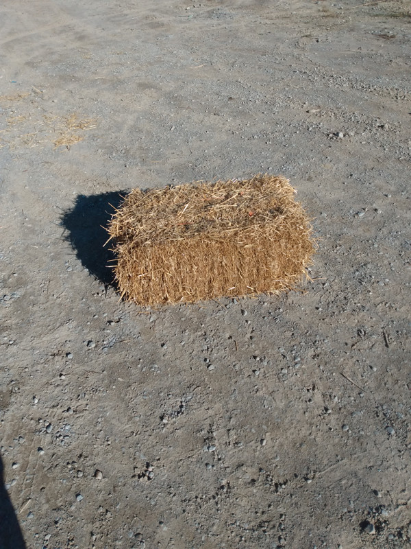 small square straw in Livestock in Peterborough
