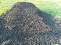 Composted Cattle manure 