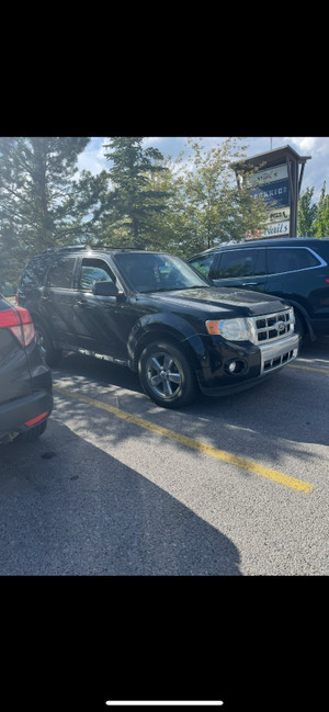 2010 Ford Escape