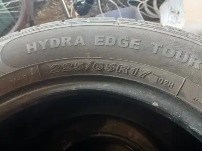 Had these on my 2015 Dodge Caravan for one summer season. Motomaster. Great tires, lots of tread lef...