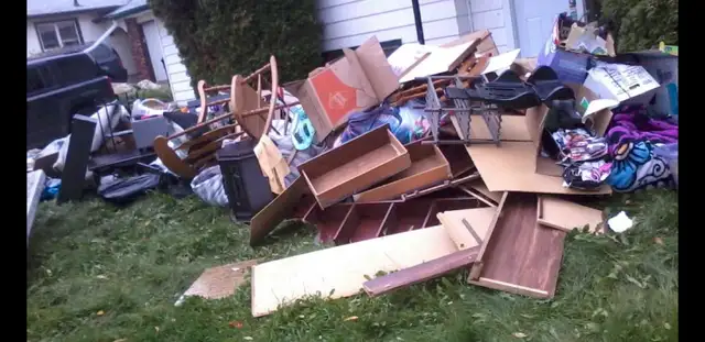 310 Bin rental Junk removal tree cutting call 780 996 6738 62863711239171123