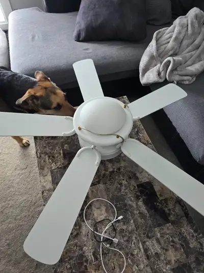 Ceiling fan and light unit (dog not included), View more