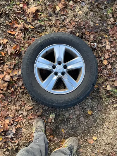 Used like new tires all season 205/70/16 were on a Chevy Cruze will fit other s
