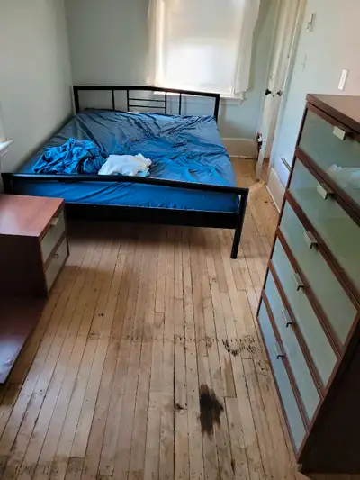 Roommate