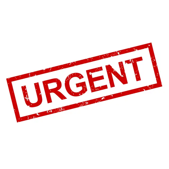 Looking for full house for rent