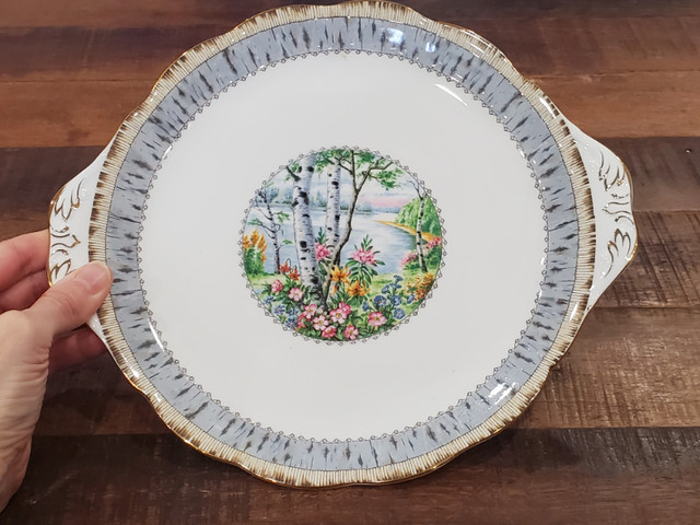 ROYAL ALBERT "Silver Birch" Bone China Plate - ENGLAND in Arts & Collectibles in Edmonton - Image 3