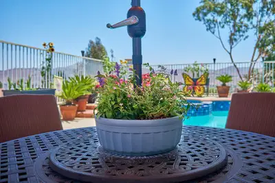 Round Savannah Planter - Black (No Box), View more