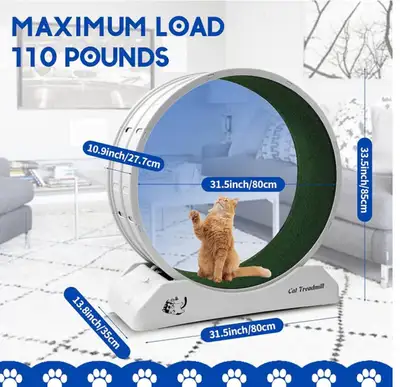 Cat treadmill for medium sized cats