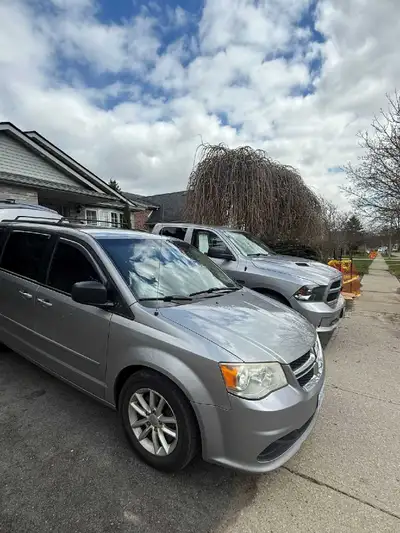 SILVERBACK MOVERS - Moving on a budget, View more