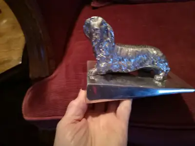 Do you have a Dachshund dog?, View more