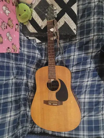 Guitar Acoustic Seagull, View more