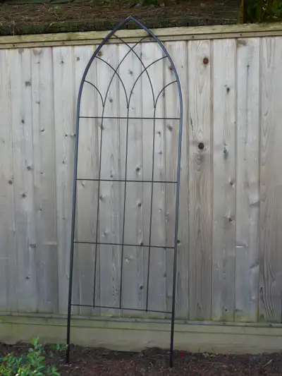 Arched metal trellis – 72”x22” - P/up 52/197St., Langley City