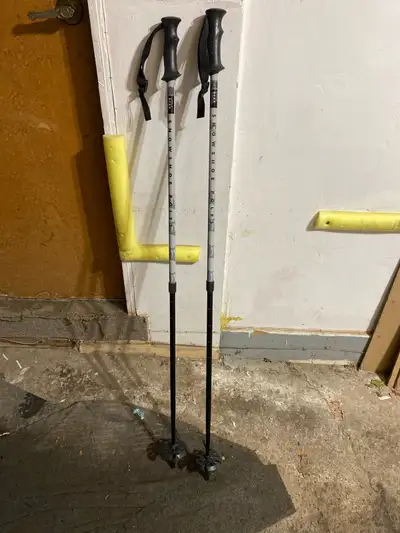 Adjustable ski/snowshoe poles, View more