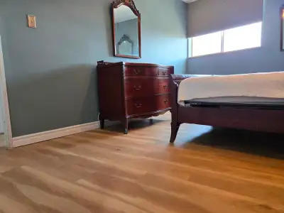 Room for rent in Dixon and Islington intersection