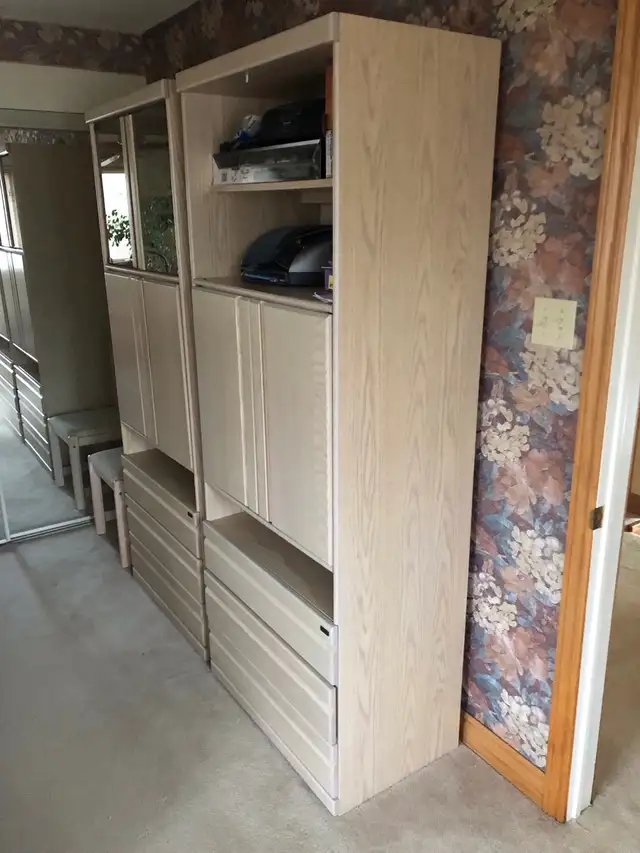 Elegant wall unit in Bookcases & Shelving Units in Markham / York Region - Image 5