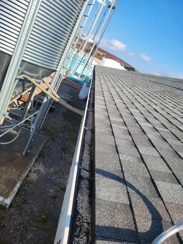 Professional, insured roofing services62863712762754123