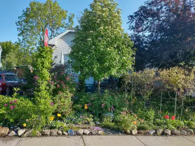 house for rent