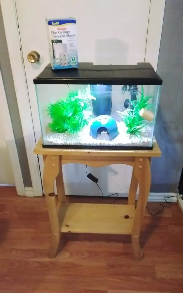 Many small aquariums for sale price in description. in Fish for Rehoming in Saint John - Image 8
