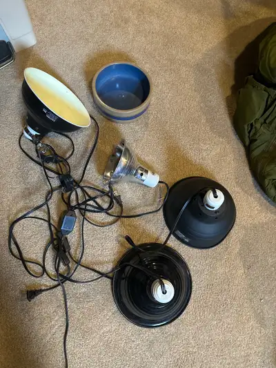 Heat Lamps and Bowl, View more