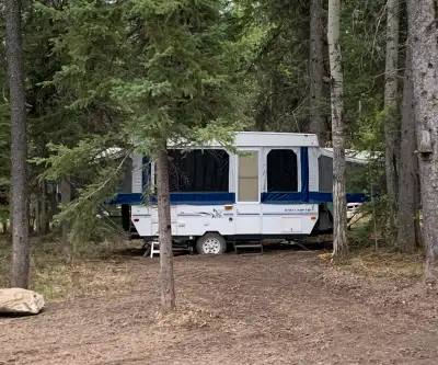2001 StarCraft tent trailer Everything works, manual crank up/down, king/queen, pullout bed bench, t...
