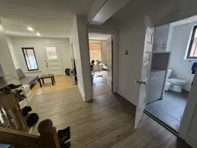 Centretown Large 5 Bedroom apartment