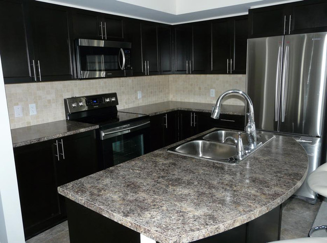 Modern Updated Condo in Barrhaven, Nepean available for Nov. 1 in Long Term Rentals in Ottawa - Image 2