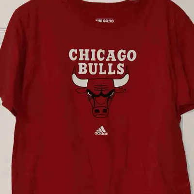 Check out this like-new Chicago Bulls T-shirt, size large! It's in excellent condition. Perfect for...