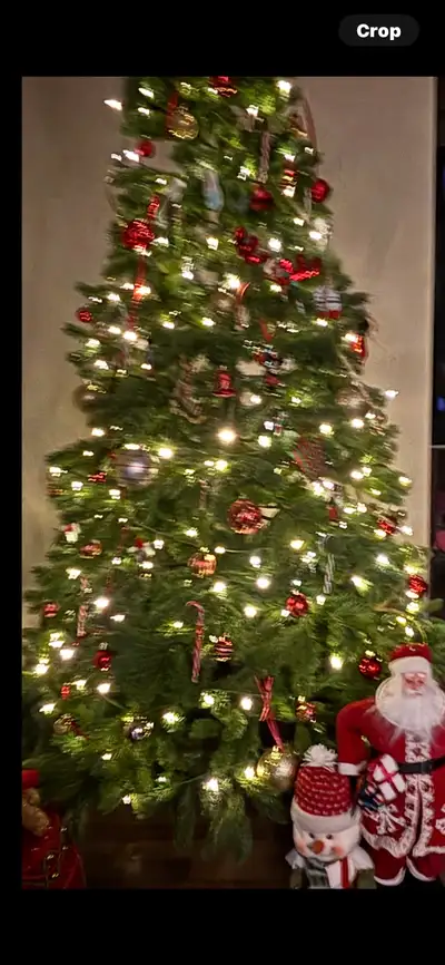Christmas tree, View more