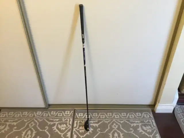 Hippo rescue club in Golf in Edmonton - Image 2